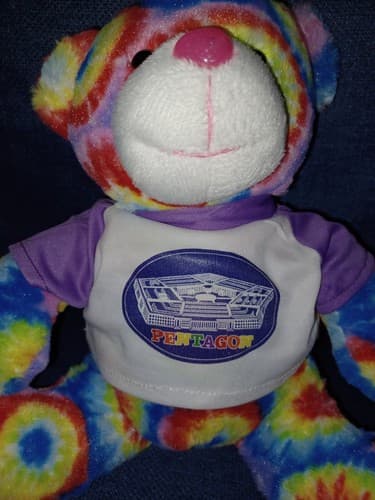 Pentagon Memorabilia Rainbow Tie Dye Plush 8" Bear Adorable Rare - Thumbnail 2