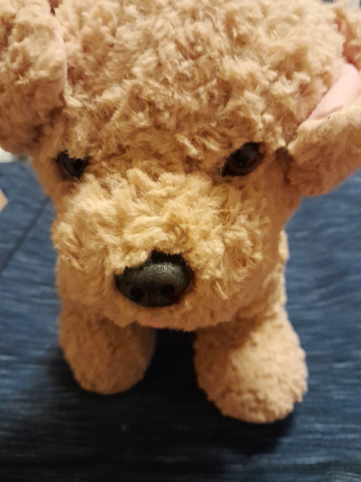 Promise Pet Curly Hair Pup Build-A-Bear Dog 12" Plush Light Brown Puppy Retired - Image 1