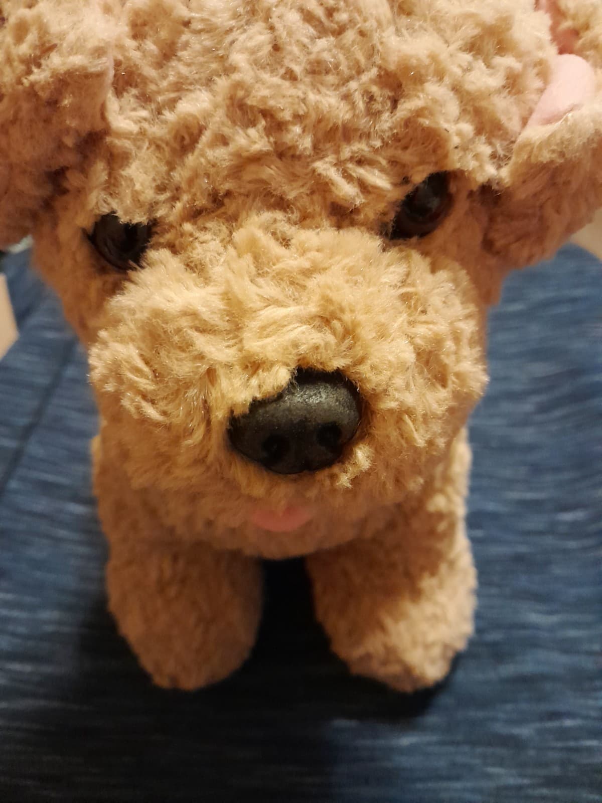 Promise Pet Curly Hair Pup Build-A-Bear Dog 12" Plush Light Brown Puppy Retired - Thumbnail 2
