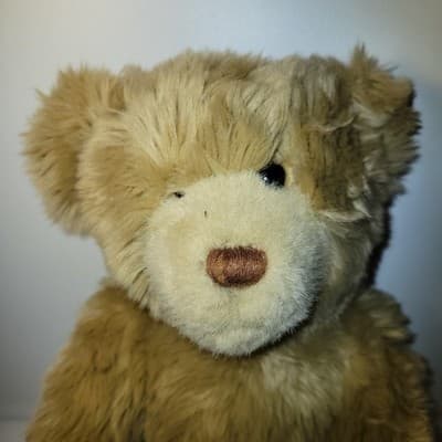 Build-A-Bear Workshop Stuffed Hugs Brown Teddy Bear Plush 16" Classic Soft Toy - Thumbnail 4