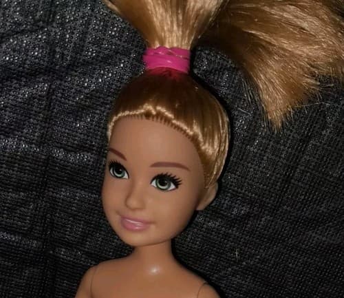 Mattel Barbie Team Stacie Doll With Purple Shoes 2019 - Image 1