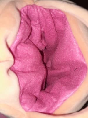 Original Squishmallow Deja Day Buddy Bucket Purse Treat Pail Plush NEW - Thumbnail 17