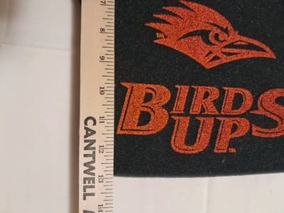 UTSA Roadrunners Birds Up Foam Hand 13"x16.25" University of Texas San Antonio - Thumbnail 3