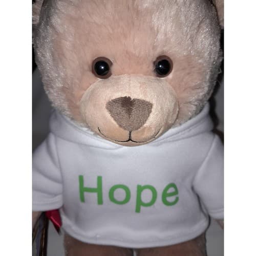 Build-A-Bear 16" Hope Hoodie Plush Teddy American Cancer Society Exclusive BABW - Image 1