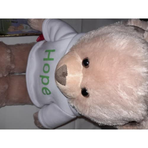 Build-A-Bear 16" Hope Hoodie Plush Teddy American Cancer Society Exclusive BABW - Thumbnail 2