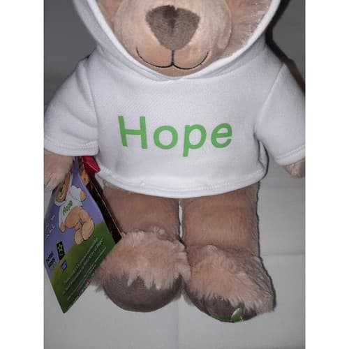 Build-A-Bear 16" Hope Hoodie Plush Teddy American Cancer Society Exclusive BABW - Thumbnail 4
