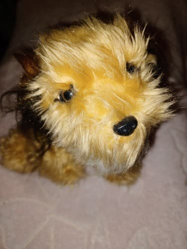 Vintage BENJI Plush Stuffed Dog 8” 1978 Dakin Brass Tag Collar Joe Camp's Movie - Image 1