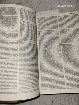 HOLY BIBLE NKJV 1982 Red Letter Dictionary Leather Bound Christian Study See Pic - Thumbnail 8