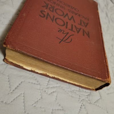 The Nations at Work 1933 Packard Sinnott Overton Vintage School Textbook McMilla - Thumbnail 9