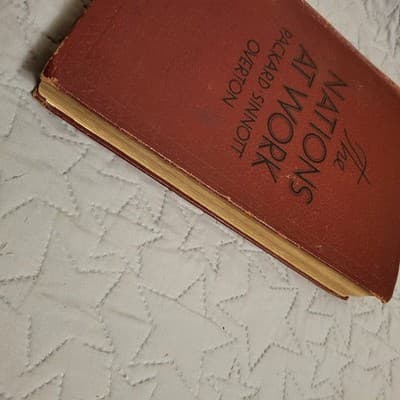 The Nations at Work 1933 Packard Sinnott Overton Vintage School Textbook McMilla - Thumbnail 10