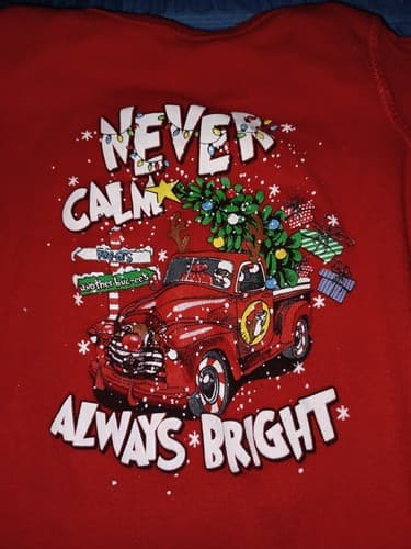 Baby Buc-ees Bodysuit Onies One Piece Size 6 mon Unisex Never Calm Always Bright - Image 1