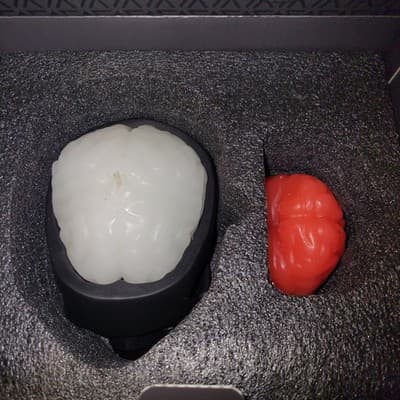 Gavia Skull Candle Holder with Brain Candle Set Black Ceramic + Brain Candles - Thumbnail 7