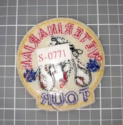 Veterinarian Tour GSA Patch Badge Girl & Boys Scouts Cub Fun Patch 2.25"×2.25" - Thumbnail 2