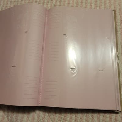 Pinnacle 4x6 Photo Album Fits 240 Photos Tan Floral Frame Cover New - Thumbnail 6