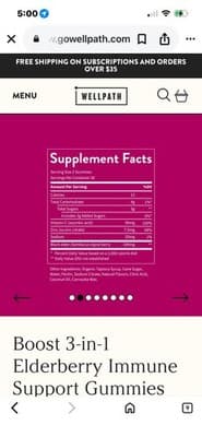 Wellpath Boost 3-in-1 Elderberry Immune Support Gummies Vit C Zinc 60 Veg - Thumbnail 2