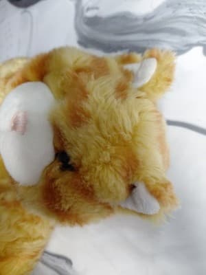 Build-A-Bear Orange Tabby Cat Striped Plush Stuffed Animal 16-inch - Thumbnail 5