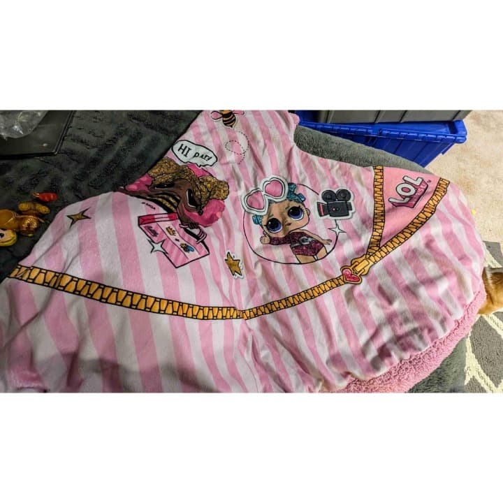 LOL DOLL HUGE LOT DOLLS ACCESSORIES AND HOODED BLANKET. SUPER CUTE LOT. LIKE NEW - Thumbnail 4
