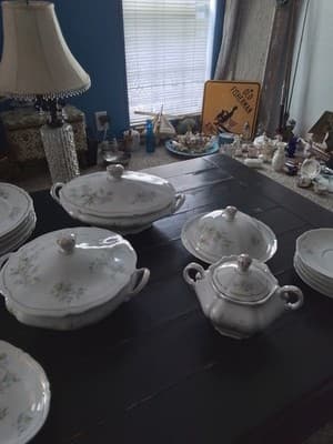 Early 1900's Antique Vienna Austria Crown China Lot Of 16 - Image 1