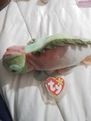 Vintage Ty Original "IGGY" The Iguana. - Thumbnail 3