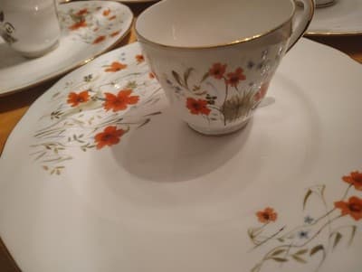 Vintage 1960 Colcbugh china 11 Dinner Plates 12 Cups - Thumbnail 3