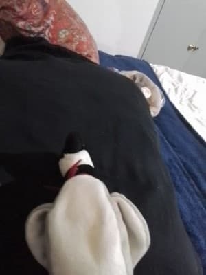Vintage Ty "LOOSY GOOSE" - Thumbnail 3