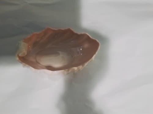 Vintage LENOX PINK AND WHITE LEAF DISH - Thumbnail 2