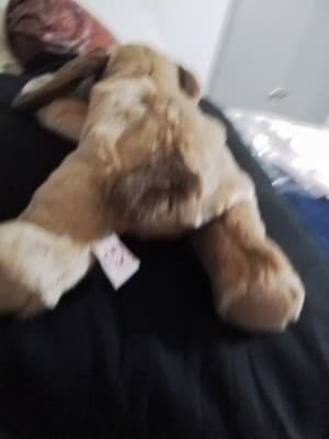 TY Beanie Babie "Bones" The Dog - Thumbnail 4