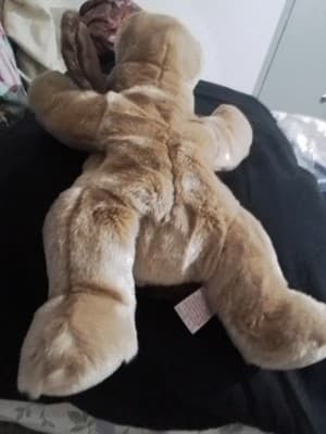 TY Beanie Babie "Bones" The Dog - Thumbnail 3