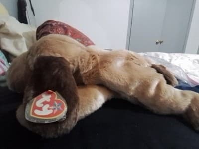 TY Beanie Babie "Bones" The Dog - Thumbnail 2