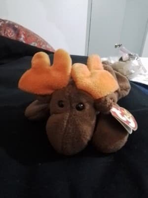 RARE T.Y. ORIGINAL "CHOCOLATE "THE MOUSE - Thumbnail 2