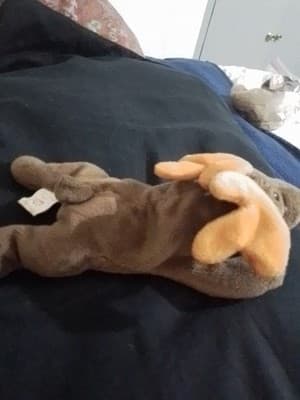 RARE T.Y. ORIGINAL "CHOCOLATE "THE MOUSE - Thumbnail 3