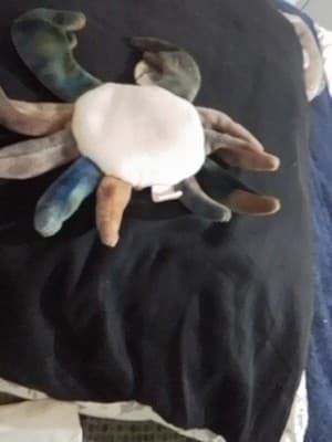 Vintage Ty Beanie Babies"CLAUDE" the Crab - Thumbnail 2