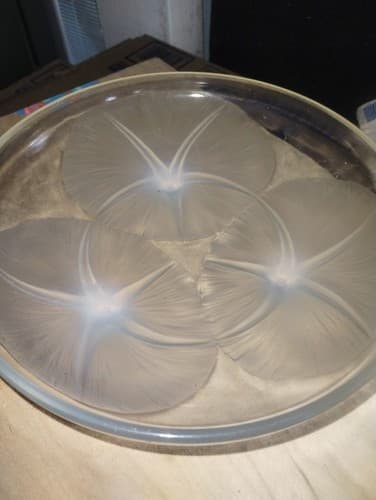 Rene Lalique VOLUBILIS Crystal Shallow Bowl Yellow Opalescent Morning Glory 1921 - Image 1