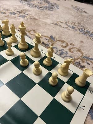 Portable Chess Set Travel Board Games Folding Roll up Mat Complete With Bag - Thumbnail 4