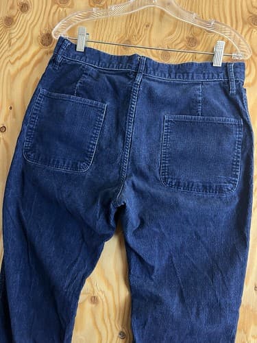 Taylor Stitch Democratic All Day Pant Mens 31x 32 Blue Corduroy Cotton 5 Pocket - Thumbnail 9