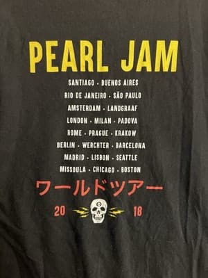 Pearl Jam 2018 Electric Skull Tour World Tour Long Sleeve T Shirt Mens M Rare - Thumbnail 10