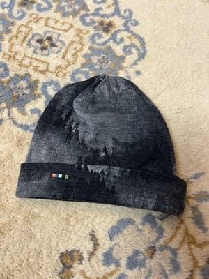 SMARTWOOL Merino Wool 250 Reversible Cuffed Beanie Charcoal Foggy Pine Trees - Image 1
