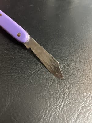 Rare Victorinox Day Packer Swiss Army Pocket Knife 100mm Single Blade Purple - Thumbnail 7