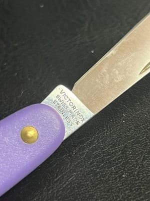 Rare Victorinox Day Packer Swiss Army Pocket Knife 100mm Single Blade Purple - Thumbnail 5