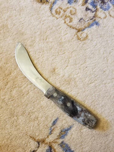 Vtg 1960's R.H. FORSCHNER VICTORINOX SWITZERLAND Skinning 5" Blade Knife Wood - Image 1