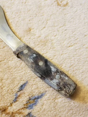 Vtg 1960's R.H. FORSCHNER VICTORINOX SWITZERLAND Skinning 5" Blade Knife Wood - Thumbnail 2