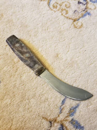 Vtg 1960's R.H. FORSCHNER VICTORINOX SWITZERLAND Skinning 5" Blade Knife Wood - Thumbnail 7