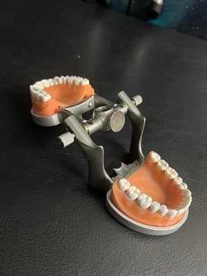 ModuPRO Acadental Carrier Tray and Hinge for Typodont Teeth Model Dental Dentist - Thumbnail 2
