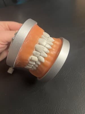 ModuPRO Acadental Carrier Tray and Hinge for Typodont Teeth Model Dental Dentist - Thumbnail 16
