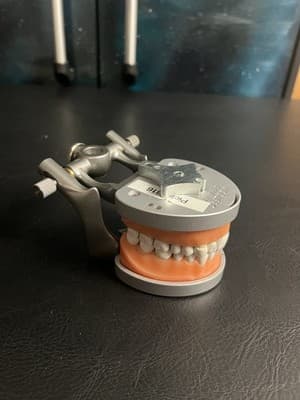 ModuPRO Acadental Carrier Tray and Hinge for Typodont Teeth Model Dental Dentist - Image 1