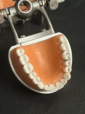 ModuPRO Acadental Carrier Tray and Hinge for Typodont Teeth Model Dental Dentist - Thumbnail 6