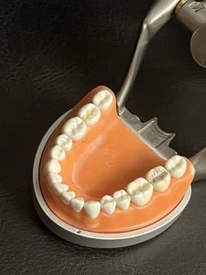 ModuPRO Acadental Carrier Tray and Hinge for Typodont Teeth Model Dental Dentist - Thumbnail 5