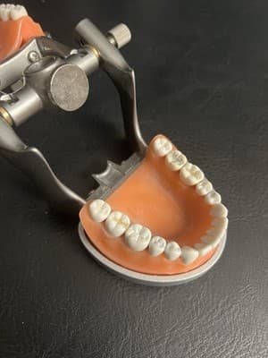 ModuPRO Acadental Carrier Tray and Hinge for Typodont Teeth Model Dental Dentist - Thumbnail 3