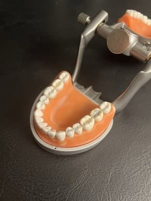 ModuPRO Acadental Carrier Tray and Hinge for Typodont Teeth Model Dental Dentist - Thumbnail 4