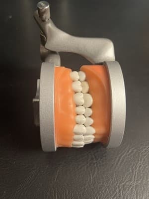 ModuPRO Acadental Carrier Tray and Hinge for Typodont Teeth Model Dental Dentist - Thumbnail 15
